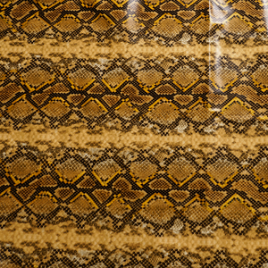 Snakeskin Print Gold Latex