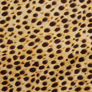 Cheetah - Animal Kingdom - Robert Kaufman 100% Cotton Fabric