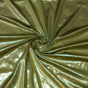 Sage Green Mystik Sparkling Costume 4-way Stretch Spandex
