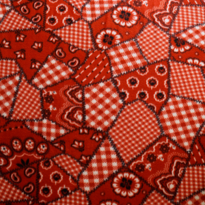 Red Bandana Anti-pill Fleece Fabric