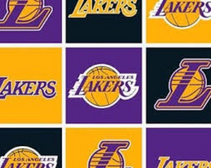 NBA Licensed Los Angeles Lakers Fleece Fabric